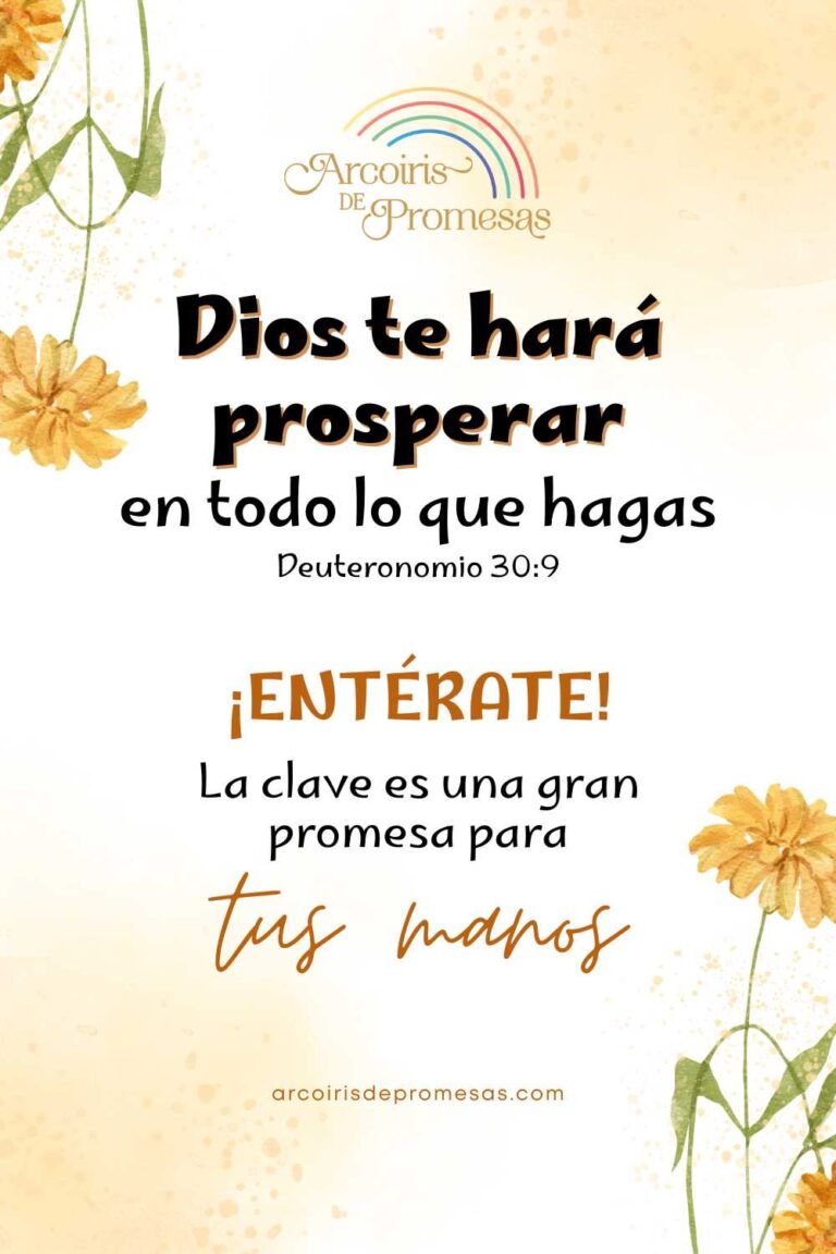 Dios te hará prosperar en todo lo que hagas - Arcoiris de Promesas
