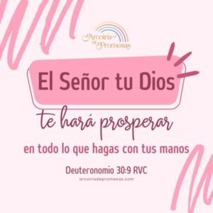 Dios te hará prosperar en todo lo que hagas - Arcoiris de Promesas