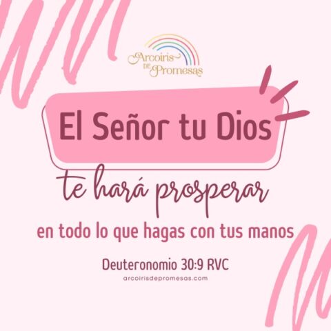 Dios te hará prosperar en todo lo que hagas - Arcoiris de Promesas