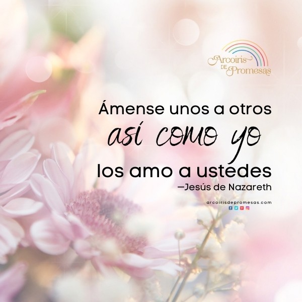 Vive El Amor De Dios Cada Día - Arcoiris De Promesas