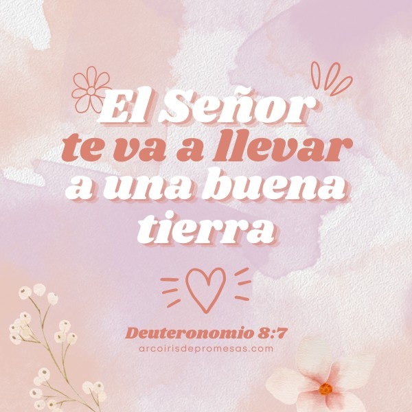 la tierra prometida comienza con un paso de fe promesas de Dios para la mujer cristiana