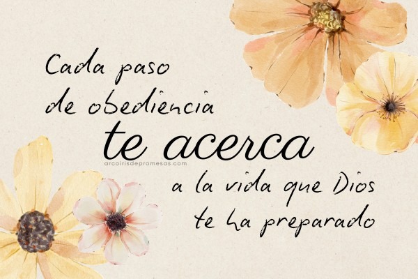 la tierra prometida comienza con un paso de fe promesa de Dios para las mujeres cristianas
