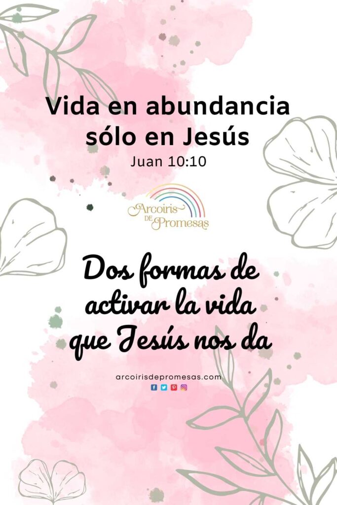 vida en abundancia solo en jesus promesas de dios para la mujer cristiana