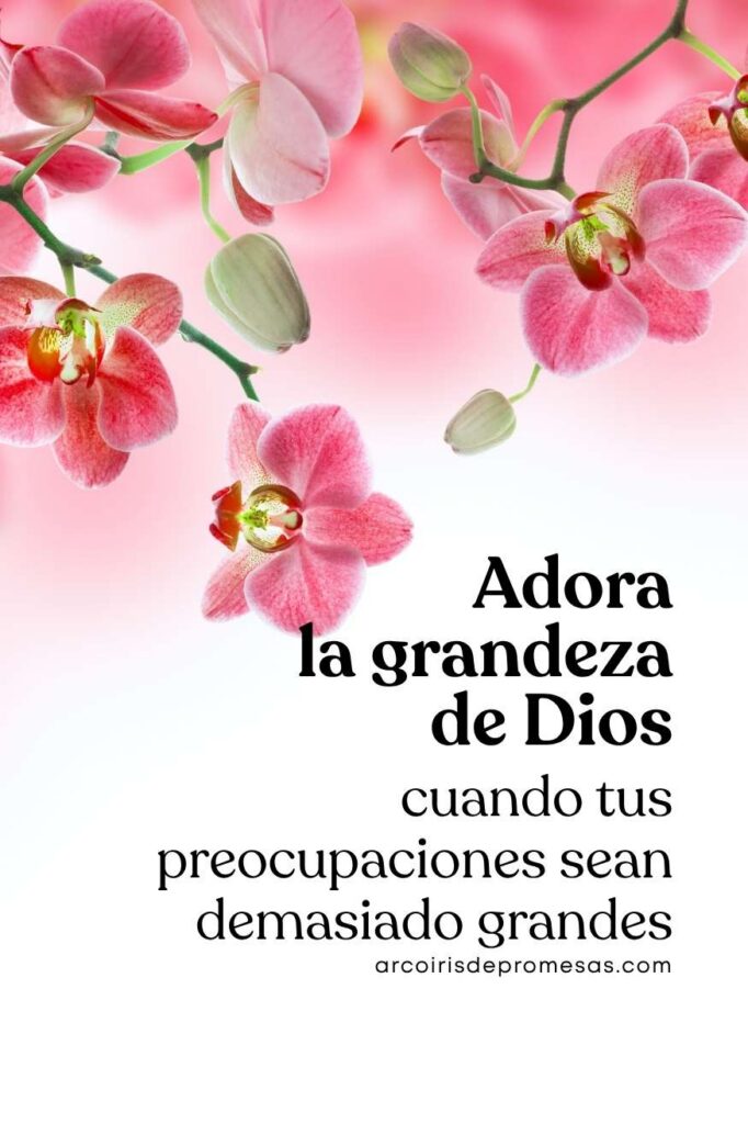adora la grandeza de Dios y recuerda quién está contigo reflexiones de aliento para la mujer cristiana