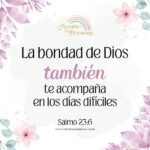 un día maravilloso comienza confiando en Dios mensaje de aliento para la mujer cristiana