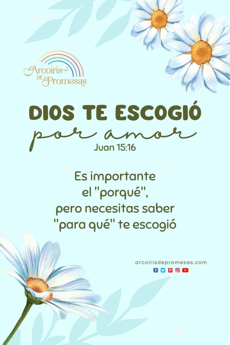Dios te escogió por amor - Arcoiris de Promesas