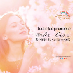 Dos promesas de Dios que se cumplirán - Arcoiris de Promesas