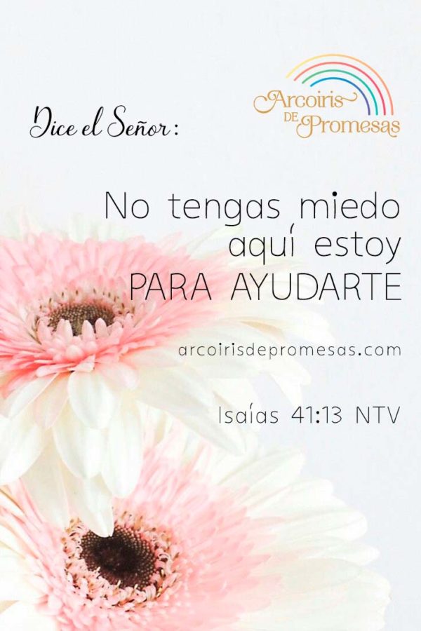 Promesas de Dios que te alientan a tomar nuevos retos - Arcoiris de ...