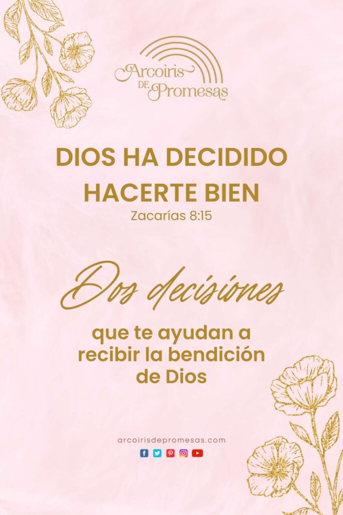 dios ha decidido hacerte bien promesas de dios para la mujer cristiana