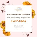 5 promesas de dios que cambiaron mi vida promesas de dios para la mujer cristiana