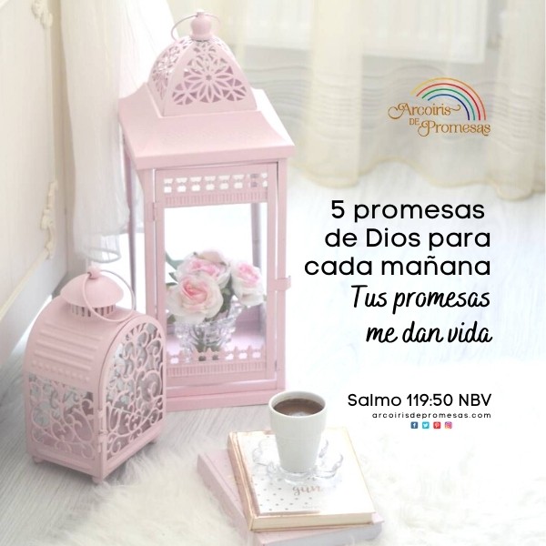 5 promesas de dios para cada mañana promesas de dios para la mujer cristiana