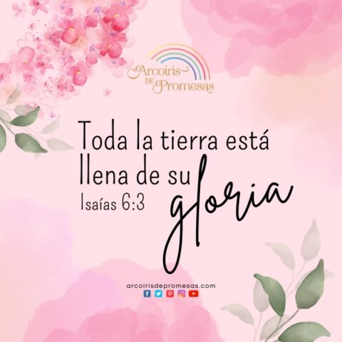 Mujeres sumergidas en la gloria de Dios - Arcoiris de Promesas