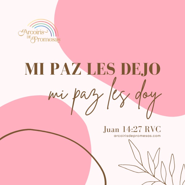 la paz que transforma el corazón mensaje de aliento para la mujer cristiana