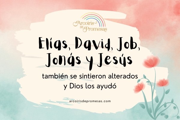 lleva tus emociones negativas a dios devocional cristiano para mujeres