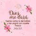 fuerza como la del bufalo una promesa divina promesas de dios para la mujer cristiana