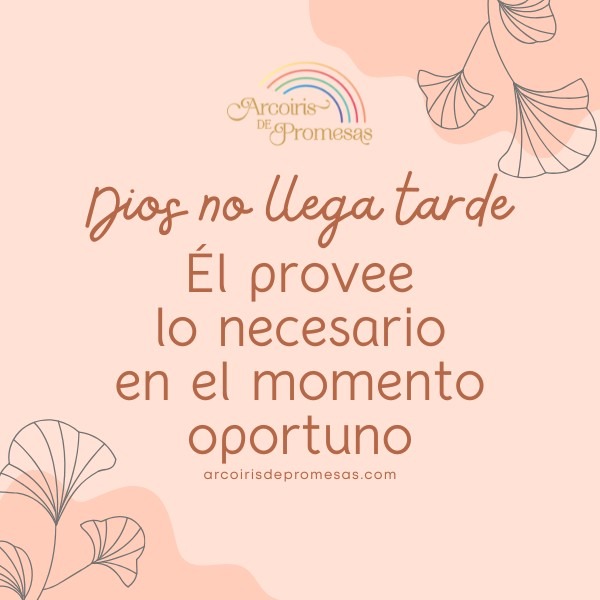 Dios conoce tus necesidades promesas de Dios para la mujer cristiana